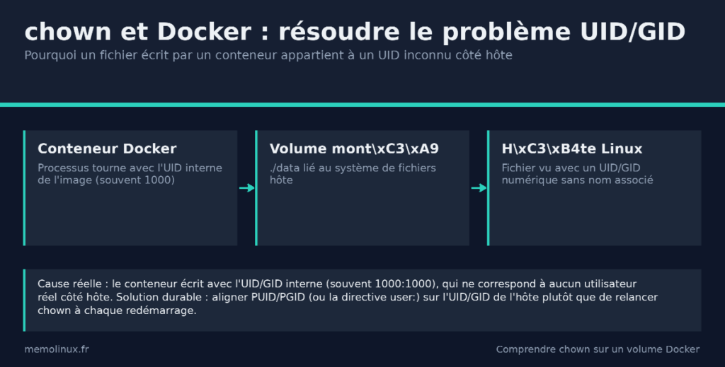 Schéma des UID et GID d'un fichier partagé entre un conteneur Docker et son hôte Linux