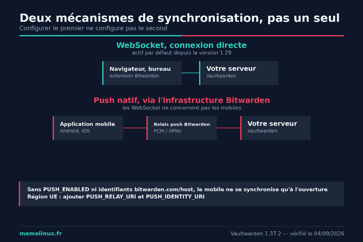Schéma des deux mécanismes de synchronisation de Vaultwarden : WebSocket direct pour le navigateur et notifications push pour les clients mobiles